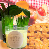 Baked Harvest Delight