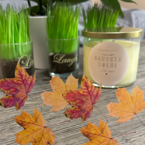 Fall Fest